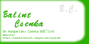 balint csenka business card